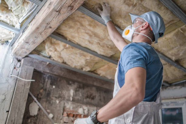 Best Insulation Replacement Services  in Hurleyville, NY