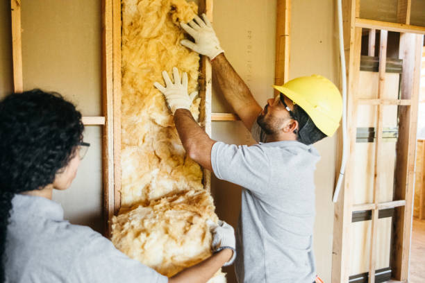 Best Cellulose Insulation  in Hurleyville, NY